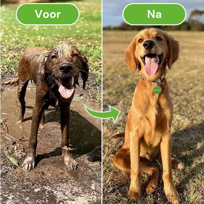 SoapyPaws™ | Ultimate Dog Spa Bruserhoved