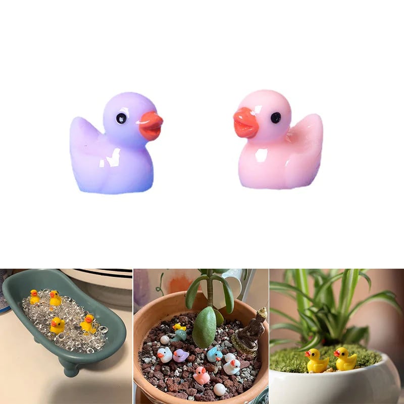 Petits canards | Défi des Canards Cachés (50 Pièces)