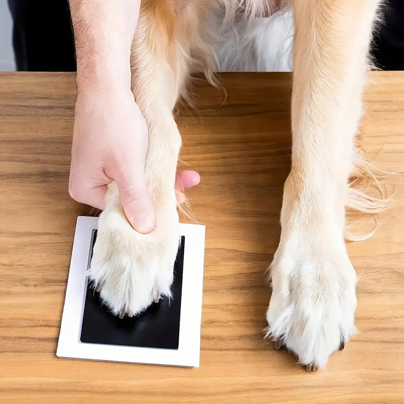 PawPress | Behoud de speciale momenten met je huisdier voor altijd