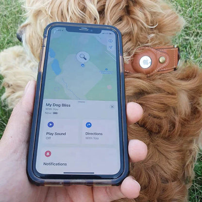 TrackMate™ | Real-Time Tracking Collar