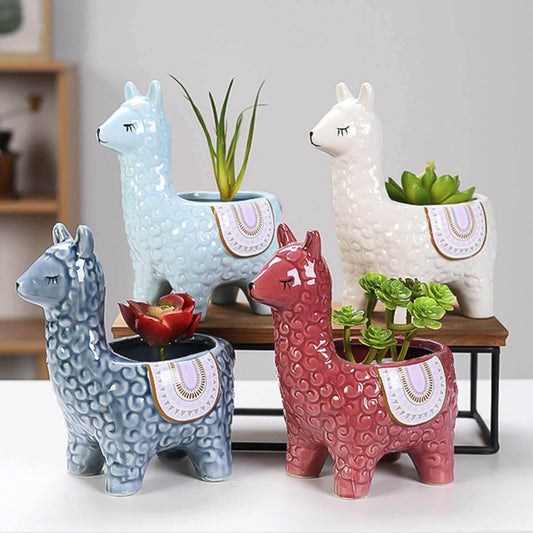 Alpaca Succulent Potten