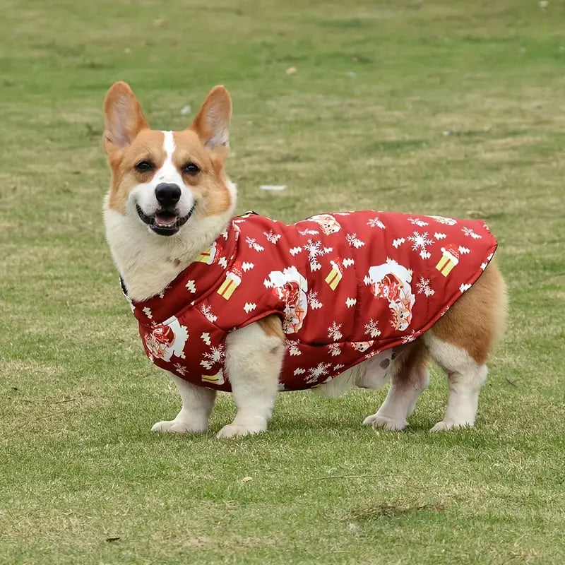 CosyPaw | Manteau pour chien contre la pluie et les odeurs désagréables