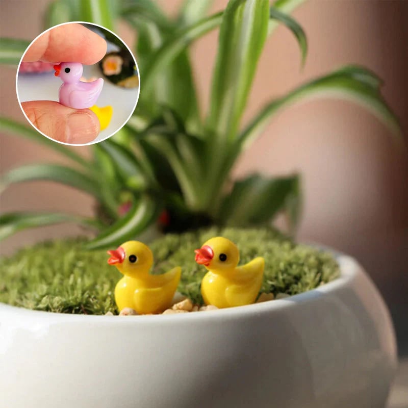 Petits canards | Défi des Canards Cachés (50 Pièces)