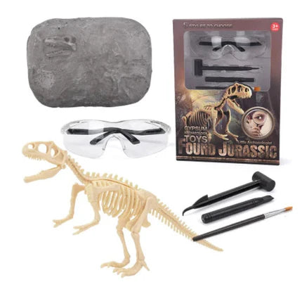 Kit fossile de dinosaure - explorer et découvrir