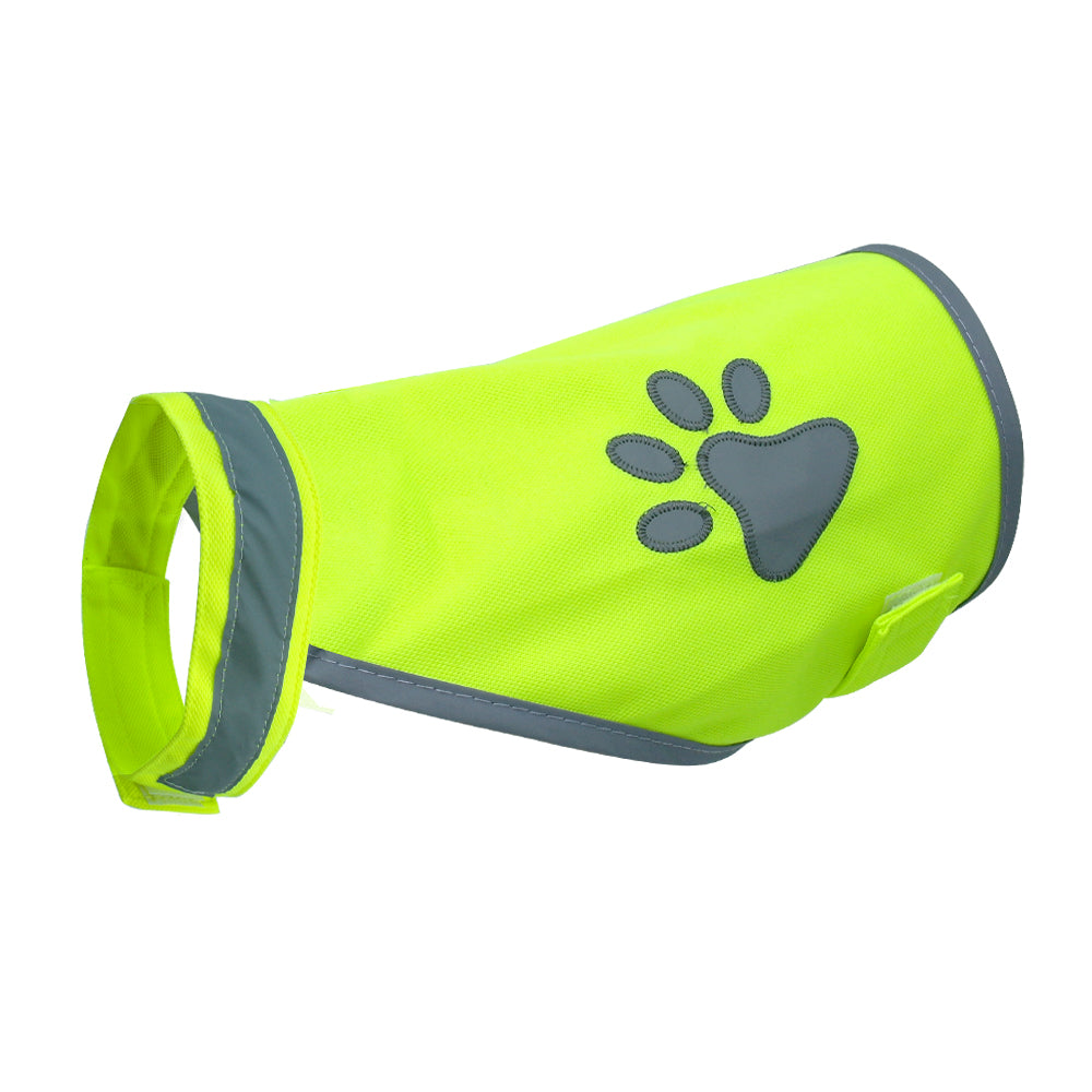 SafePaws | Never Worry About Losing Your Dog Again