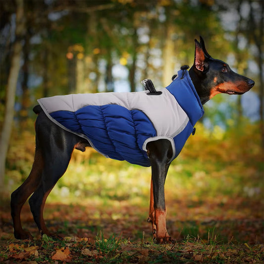 Chauffe-chien | Manteau pour chien avec harnais intégré