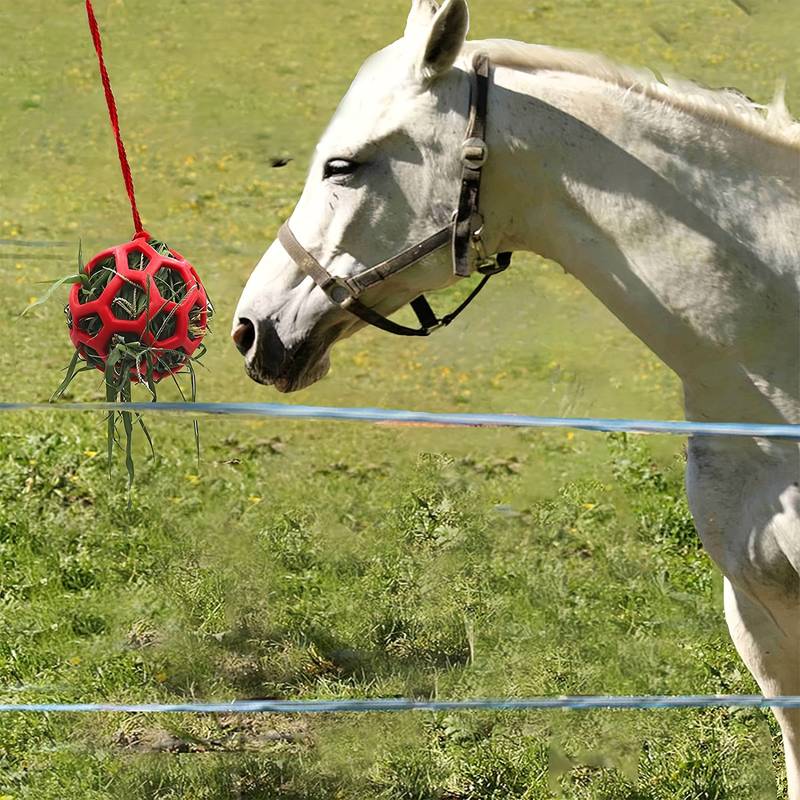 HoofFeast | Snackbal voor Paarden & Geiten