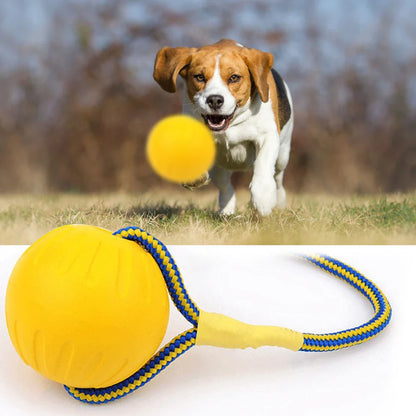 PowerBite | Starker Kauball für Hunde