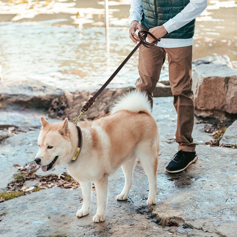 ChillGrip | Staark Luxus Lieder Dog Leash