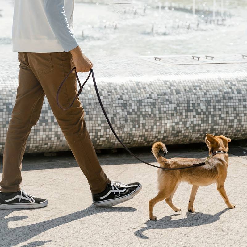 ChillGrip | Staark Luxus Lieder Dog Leash