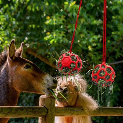 HoofFeast | Snackbal voor Paarden & Geiten