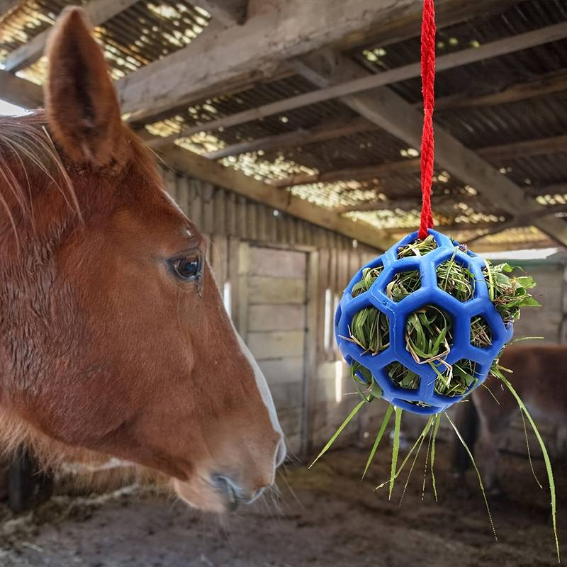 HoofFeast | Snackbal voor Paarden & Geiten