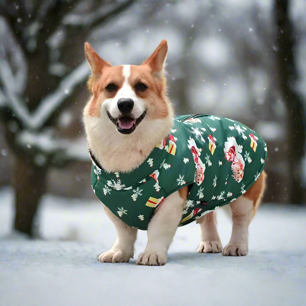 CosyPaw | Manteau pour chien contre la pluie et les odeurs désagréables