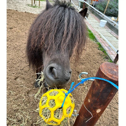 HoofFeast | Snackbal voor Paarden & Geiten