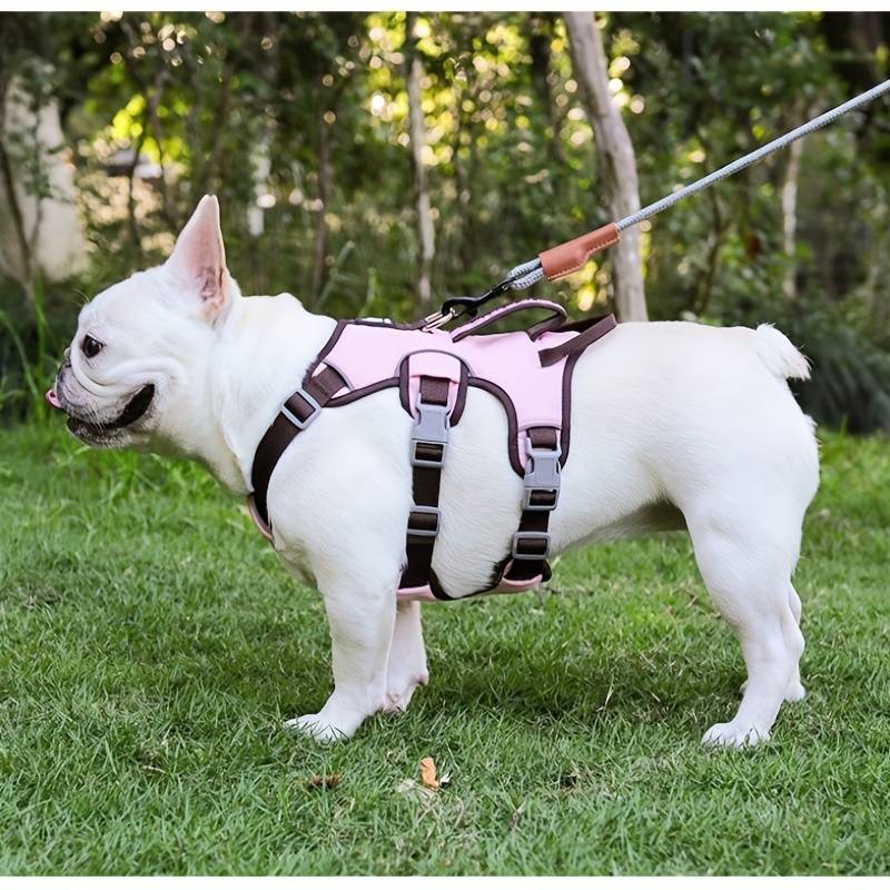 FurGuard | Anti-Pull Dog Harness with reflection