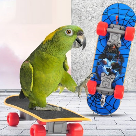 SkateBird™ | Det ultimative skateboard til fugle