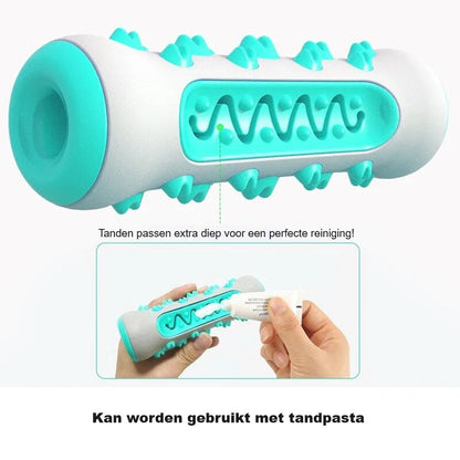 BrushBuddy™ | Healthy Teeth for Your Dog