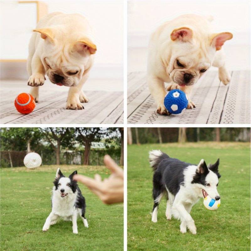 PawsBlitz | chew toy for dogs