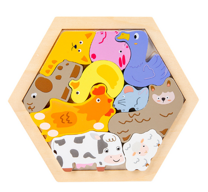 Montessori 3D Wooden Puzzle