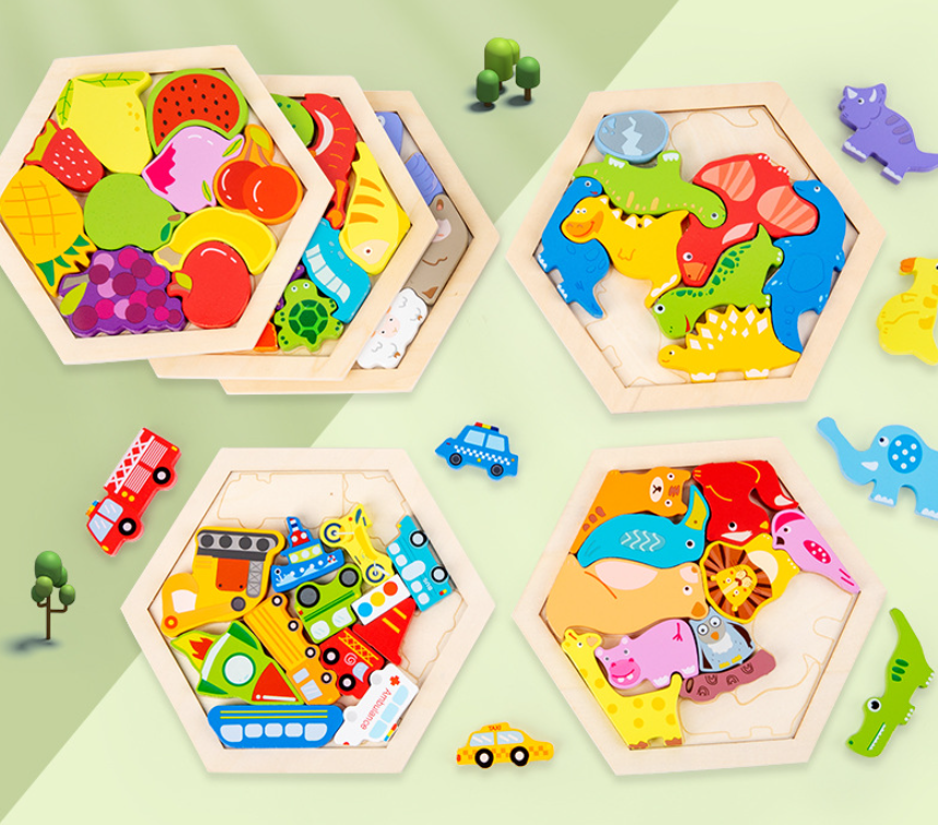 Montessori 3D Wooden Puzzle