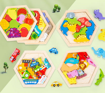 Montessori 3D Wooden Puzzle