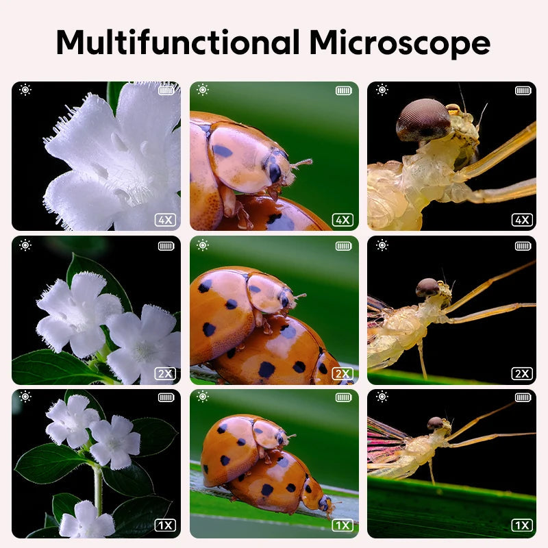 Kidsmicroscope ™ - entdecken Sie die Wissenschaft durch das Objektiv