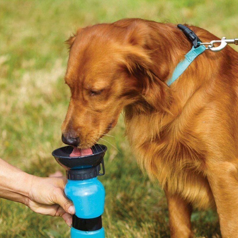 HydrateBuddy | Waterfles voor huisdieren