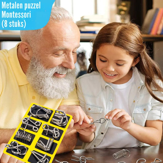 BrainCraft | Montessori Metalen Puzzel Set (8 stuks)