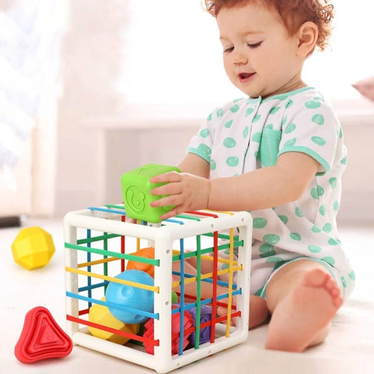Montessori Sanse Sorterings Terning