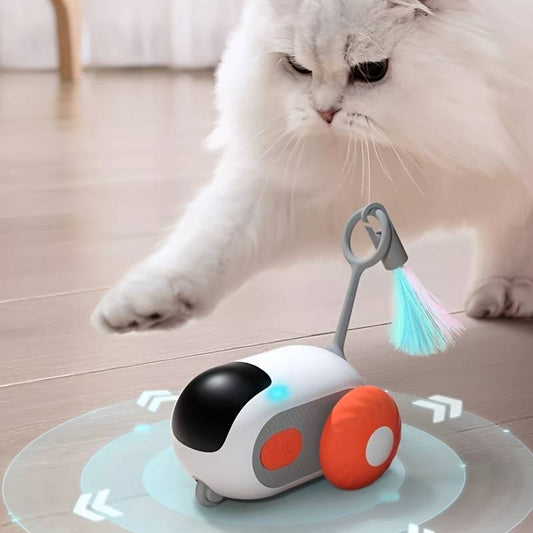 PlayWhisker | Endless entertainment for cats