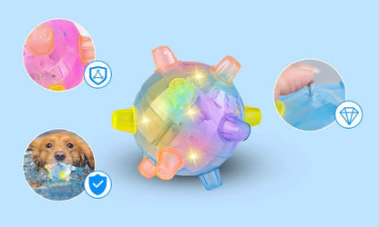 BounceBuddy | Balle de chien sautant