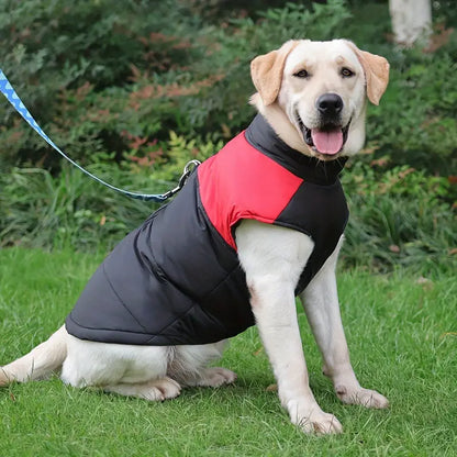 PawGuard | Nooit meer stress om regen en kou