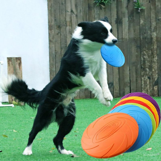 CanineFlyer | Jouet interactif robuste